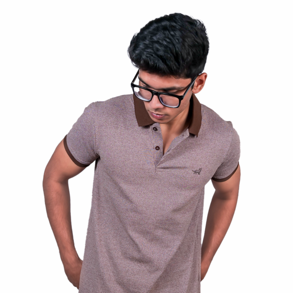 Polo Self Design-L Brown T-Shirt